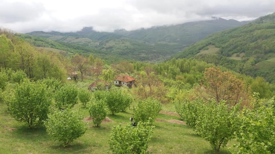 Camera Privata Bulz Экстерьер фото